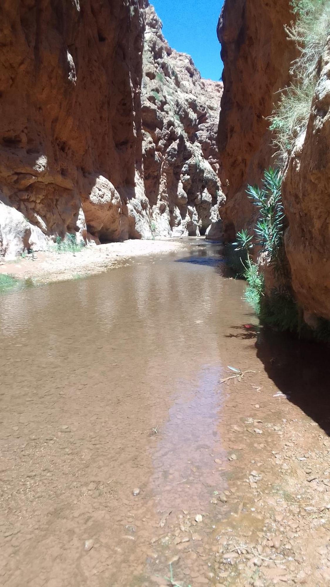 Maison D'Hote Amazir Boumalne Dades Bagian luar foto