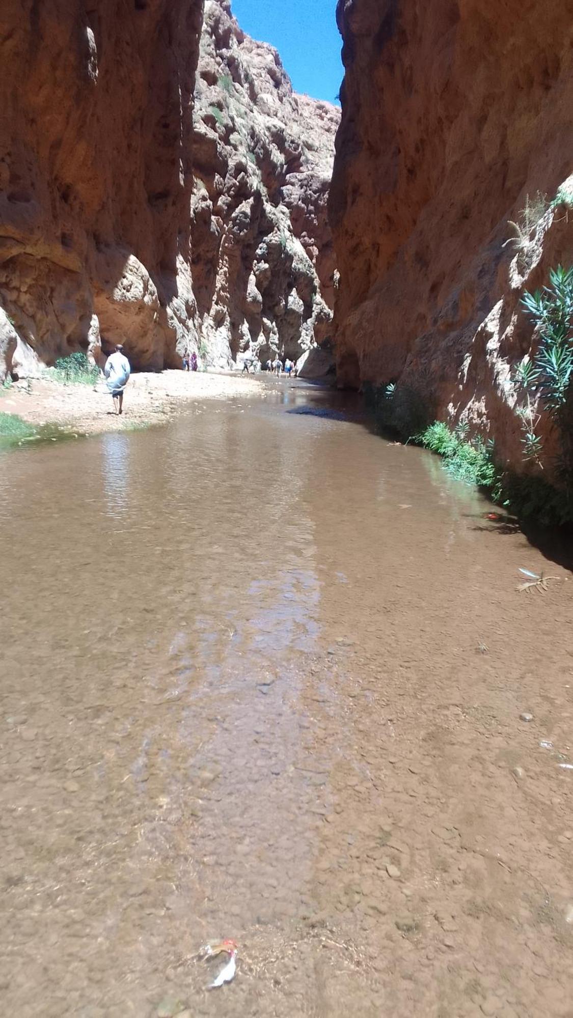 Maison D'Hote Amazir Boumalne Dades Bagian luar foto